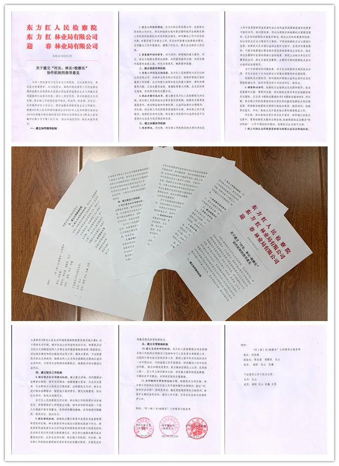 河长、林长+检察长让“检察蓝”守护生态绿
